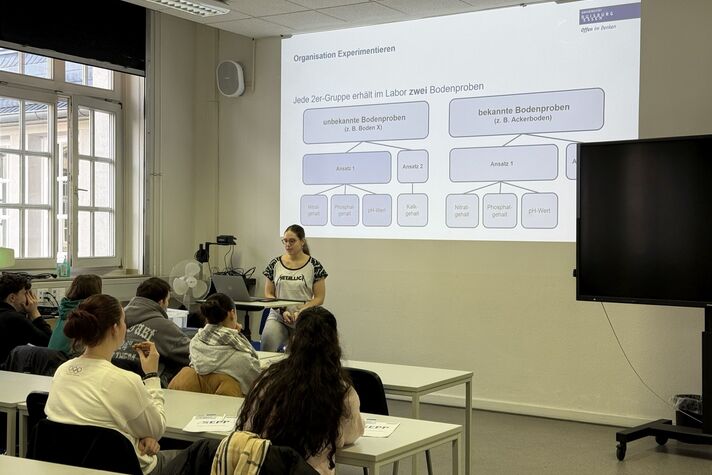 Qualitative Analyse – unsere Schüler*innen haben es drauf